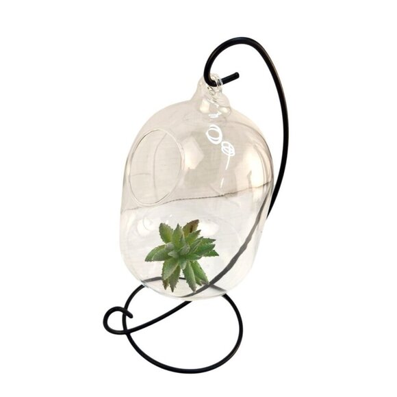 Hanging Glass Terrarium With Metal Stand For Air Plants & Succulents 9x4 in - Picture 1 of 10